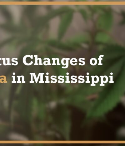 Navigating the Changes in Mississippi’s Marijuana Laws: How The Sims Law Firm Can Help