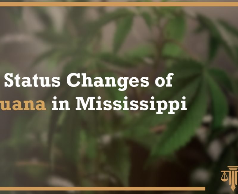 Legal Guidance on Mississippi Marijuana: Sims Law Firm Logo
